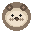 seaotter.cam favicon